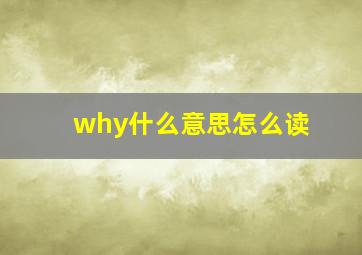 why什么意思怎么读