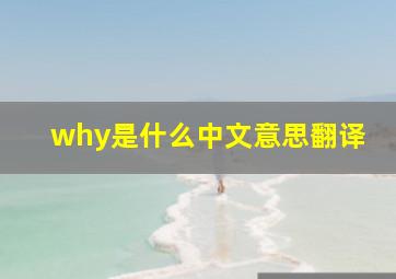 why是什么中文意思翻译