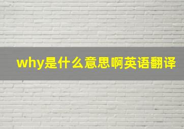 why是什么意思啊英语翻译