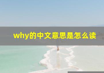 why的中文意思是怎么读