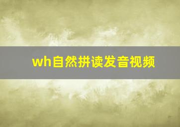 wh自然拼读发音视频