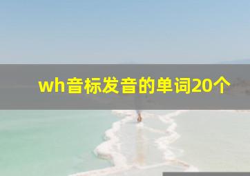 wh音标发音的单词20个