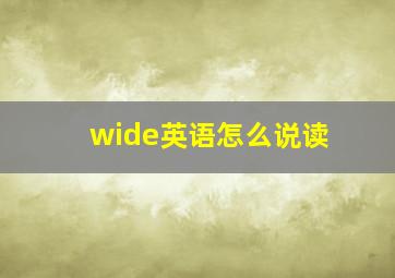 wide英语怎么说读