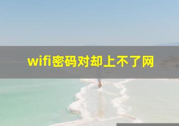 wifi密码对却上不了网