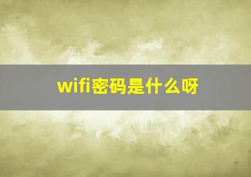 wifi密码是什么呀