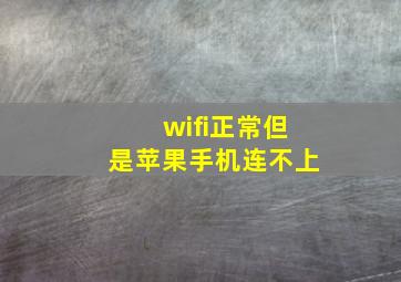 wifi正常但是苹果手机连不上