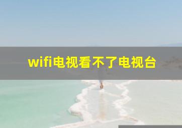 wifi电视看不了电视台