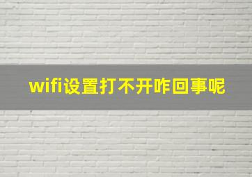 wifi设置打不开咋回事呢