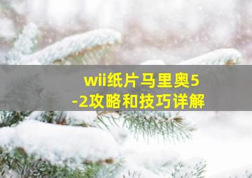 wii纸片马里奥5-2攻略和技巧详解