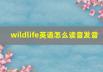 wildlife英语怎么读音发音