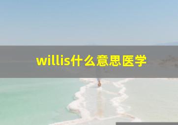 willis什么意思医学