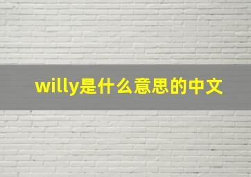 willy是什么意思的中文