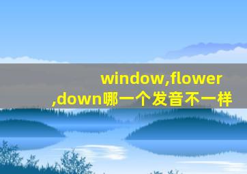 window,flower,down哪一个发音不一样