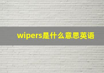 wipers是什么意思英语