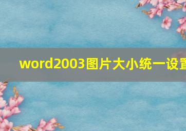 word2003图片大小统一设置