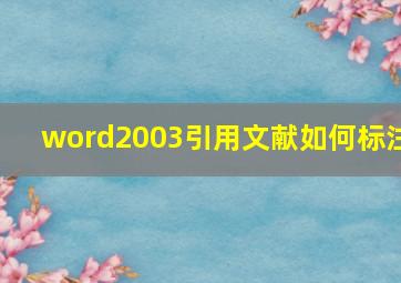 word2003引用文献如何标注