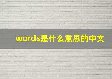 words是什么意思的中文