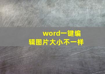 word一键编辑图片大小不一样