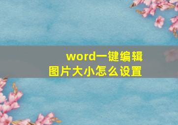 word一键编辑图片大小怎么设置