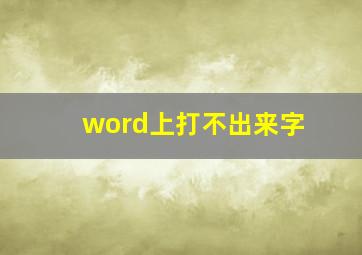 word上打不出来字