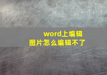 word上编辑图片怎么编辑不了