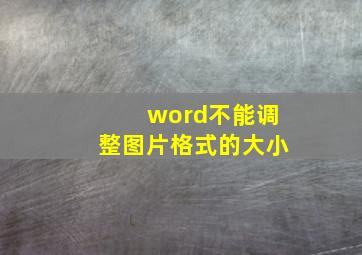 word不能调整图片格式的大小