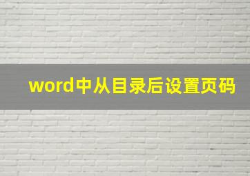 word中从目录后设置页码