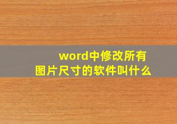 word中修改所有图片尺寸的软件叫什么