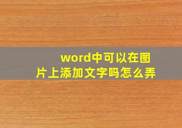 word中可以在图片上添加文字吗怎么弄