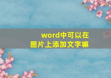 word中可以在图片上添加文字嘛