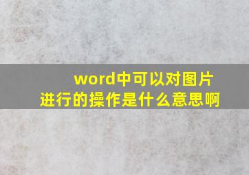 word中可以对图片进行的操作是什么意思啊