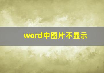 word中图片不显示