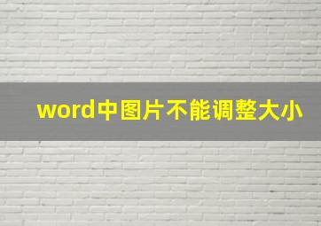 word中图片不能调整大小