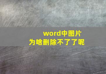 word中图片为啥删除不了了呢