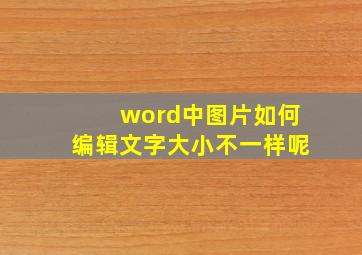 word中图片如何编辑文字大小不一样呢