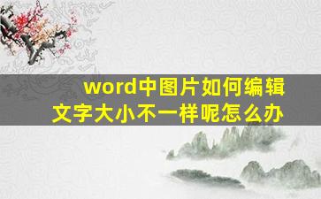 word中图片如何编辑文字大小不一样呢怎么办