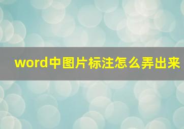 word中图片标注怎么弄出来