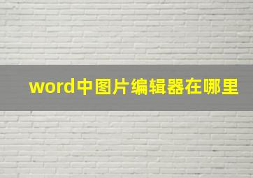 word中图片编辑器在哪里