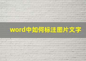 word中如何标注图片文字