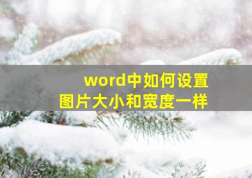 word中如何设置图片大小和宽度一样