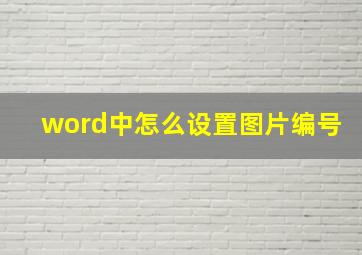 word中怎么设置图片编号