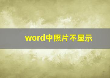 word中照片不显示