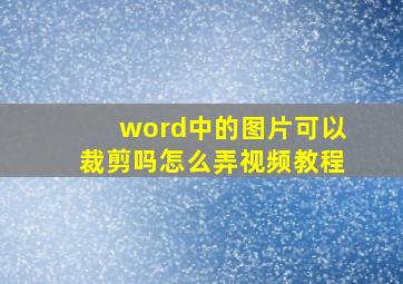 word中的图片可以裁剪吗怎么弄视频教程