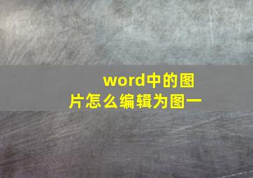 word中的图片怎么编辑为图一