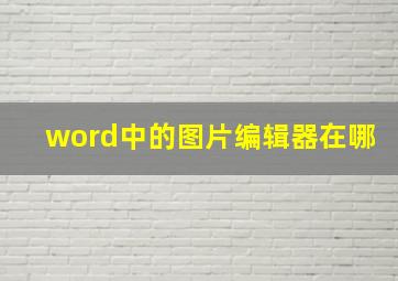 word中的图片编辑器在哪