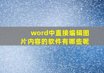 word中直接编辑图片内容的软件有哪些呢