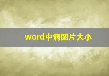 word中调图片大小