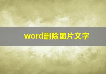 word删除图片文字