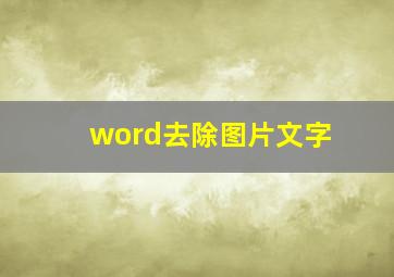 word去除图片文字