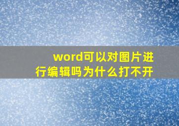 word可以对图片进行编辑吗为什么打不开